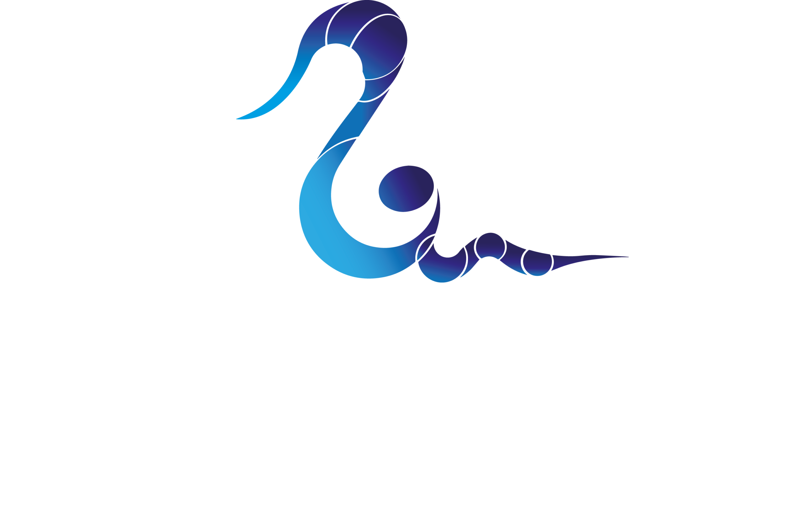 Armevi Producciones